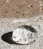 Invisiguard sealed cantera reference photo